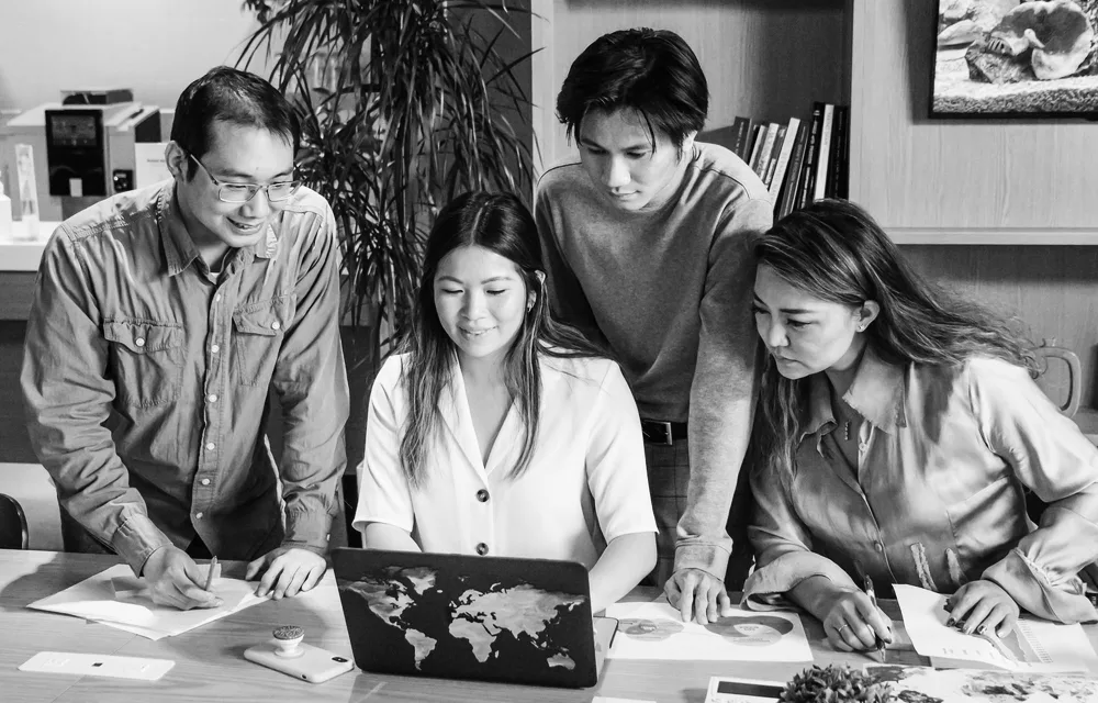 Creative team reviewing brand strategy together in the studio